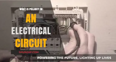 Understanding Polarity: The Basics of Electrical Circuitry