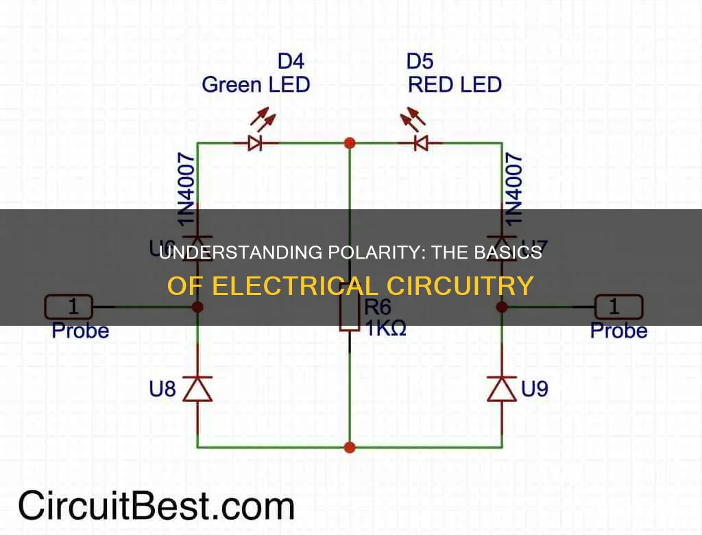 what is polarity in an electrical circuit