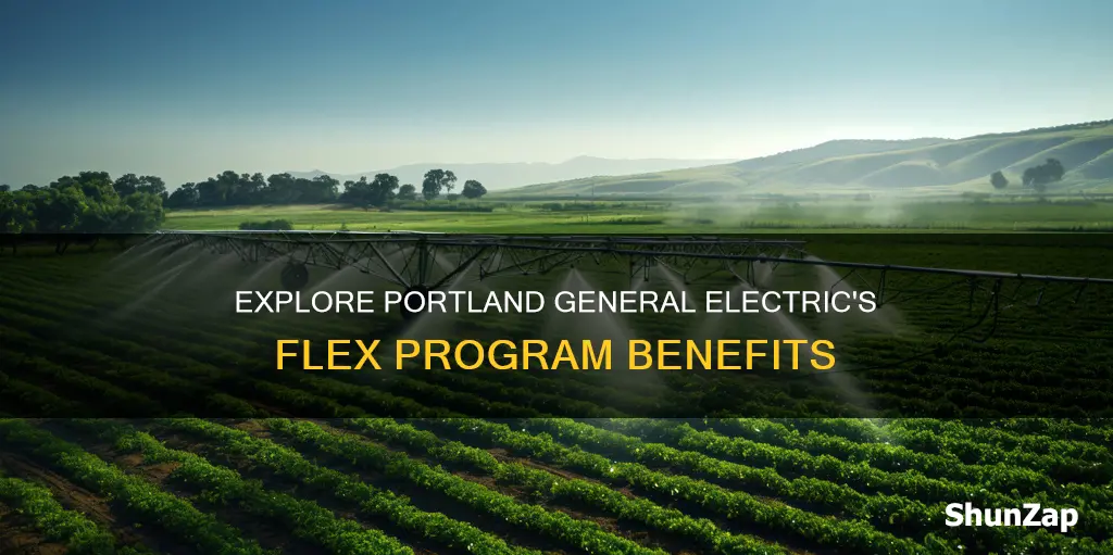what is portland general electric flex program