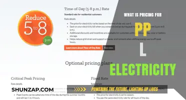 Understanding PP&L Electricity Pricing