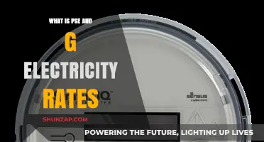 Understanding PSE&G Electricity Rates: What You Need to Know