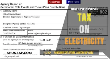 Electricity Tax: What's the Public Purpose?