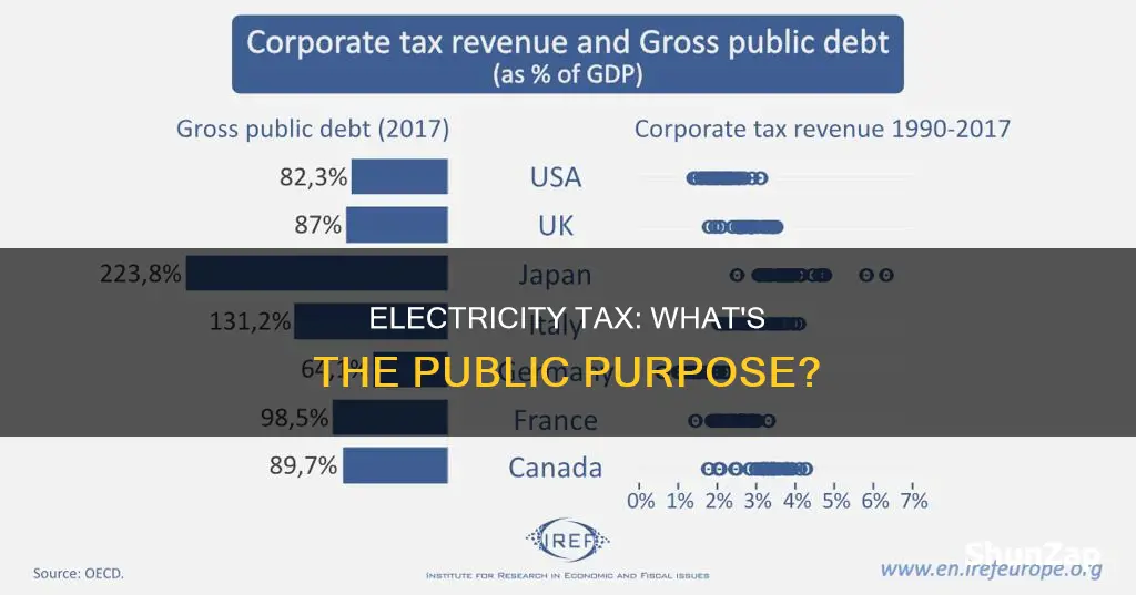 what is public purpose tax on electricity