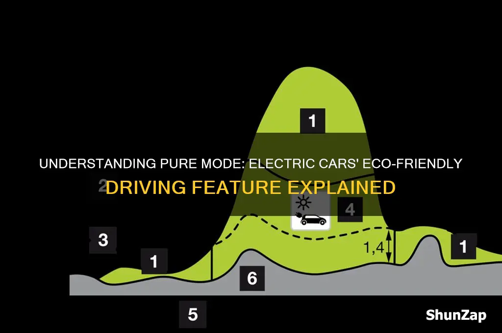 what is pure mode in electric cars