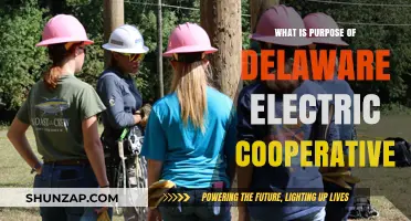 Delaware Electric Cooperative: Powering the Community
