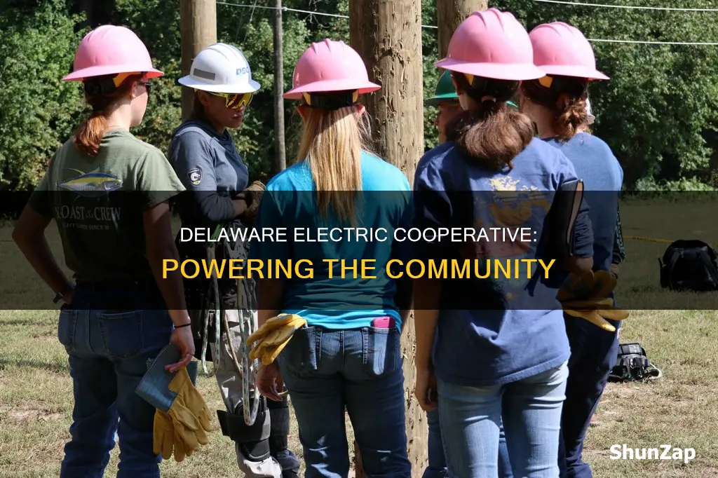 what is purpose of delaware electric cooperative