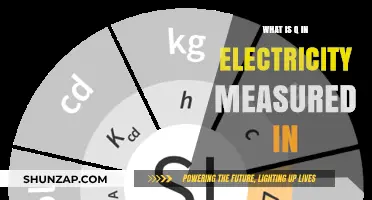 Electricity's Q: Measured in Coulombs, Defined by Charge