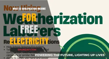 Free Electricity: Who Qualifies and How?