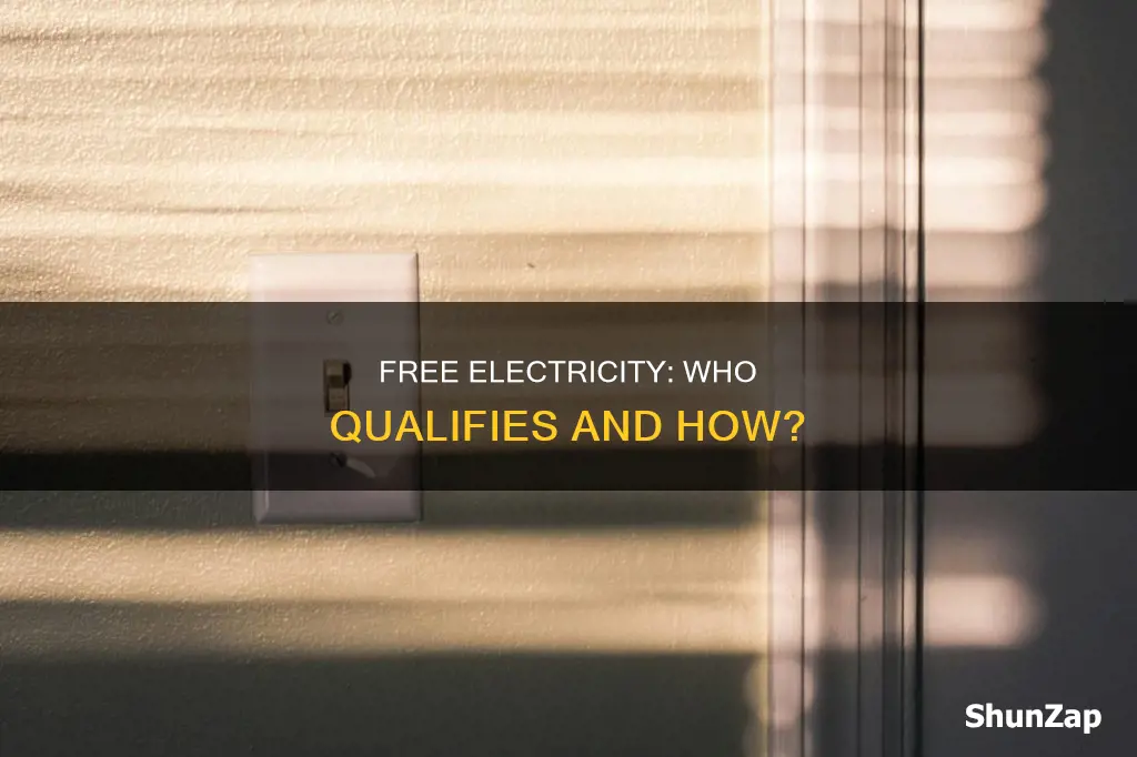 what is qualification income for free electricity