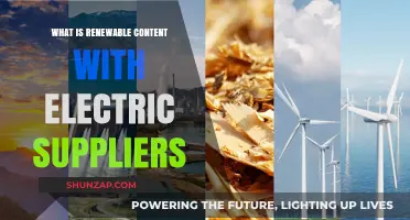 Unlocking Renewable Energy: Electric Suppliers' Role