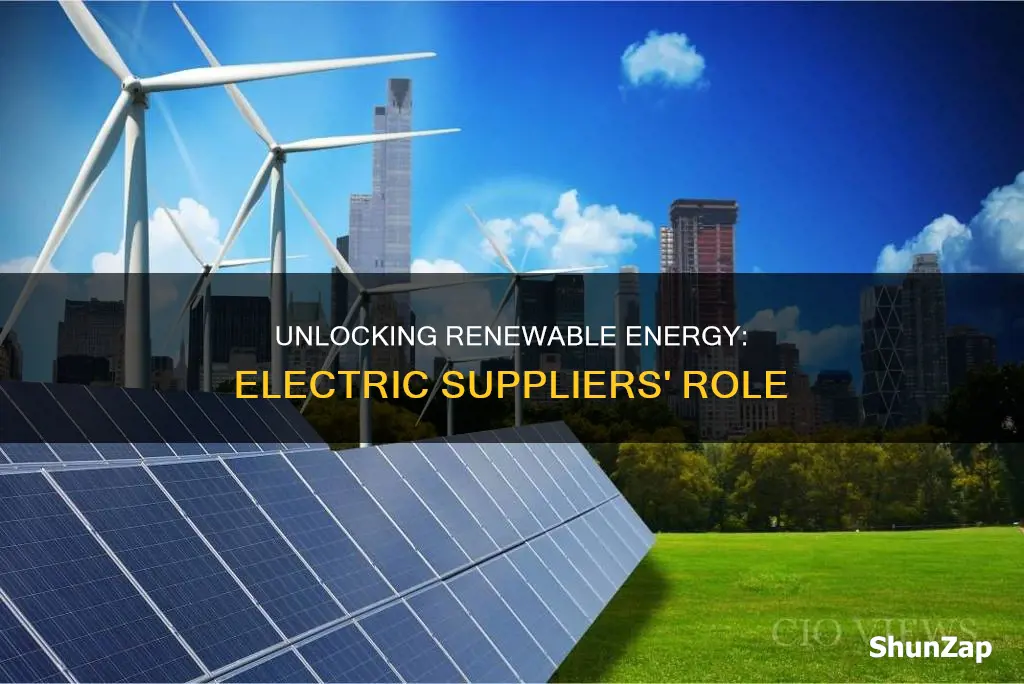 what is renewable content with electric suppliers