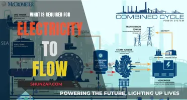 Electricity Flow: Understanding the Essential Requirements