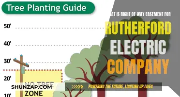 Understanding Right-of-Way Easements: The Rutherford Electric Company's Perspective