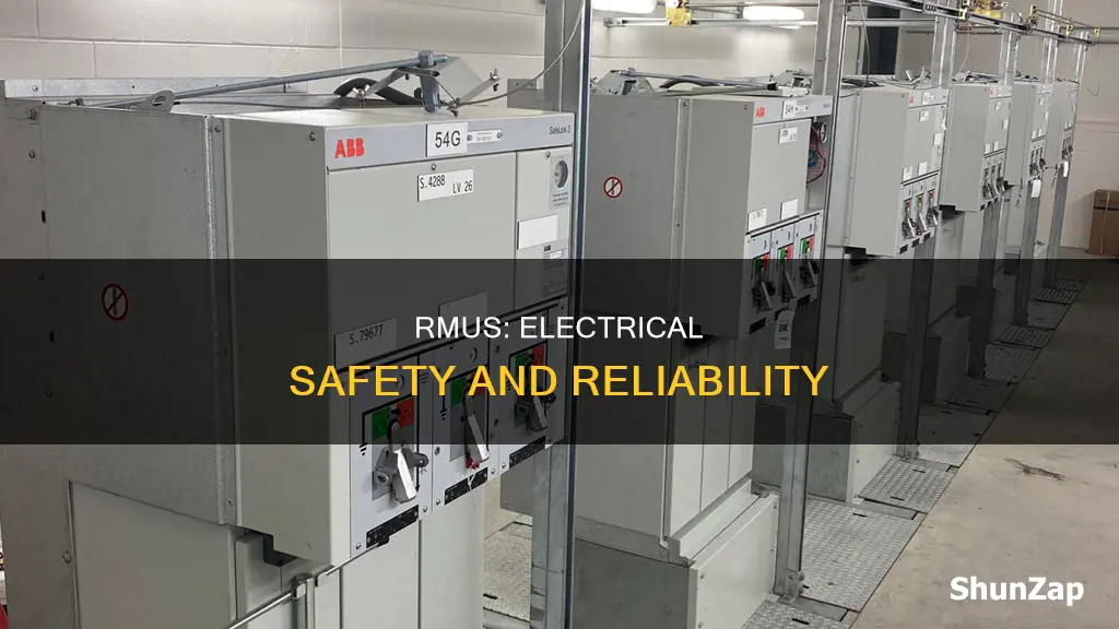 what is ring main unit in electrical