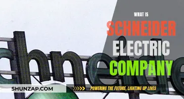 Schneider Electric: Powering and Digitizing Our World