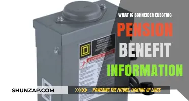 Schneider Electric: Pension Benefits and Plan Details