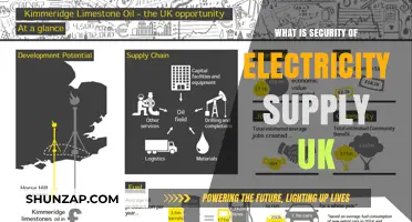 Ensuring Electricity Supply Security in the UK