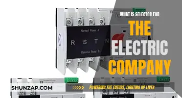 Electric Company's Guide to Selectors: What, Why, and How?