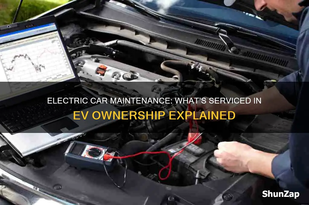 what is serviced on an electric car