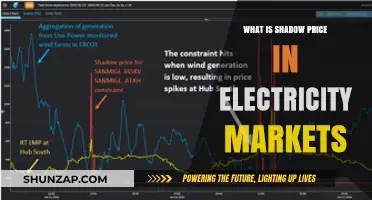 Understanding Shadow Price: Electricity Market Dynamics