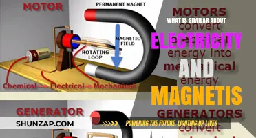 Electricity and Magnetism: A Dynamic Duo