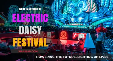 SkyDeck: Electric Daisy Carnival's VIP Experience
