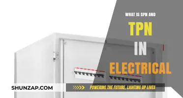 SPN and TPN: Electrical System's Vital Components
