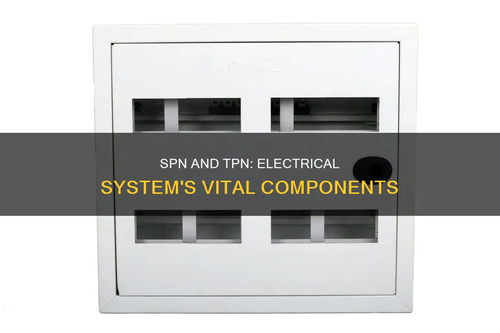 what is spn and tpn in electrical