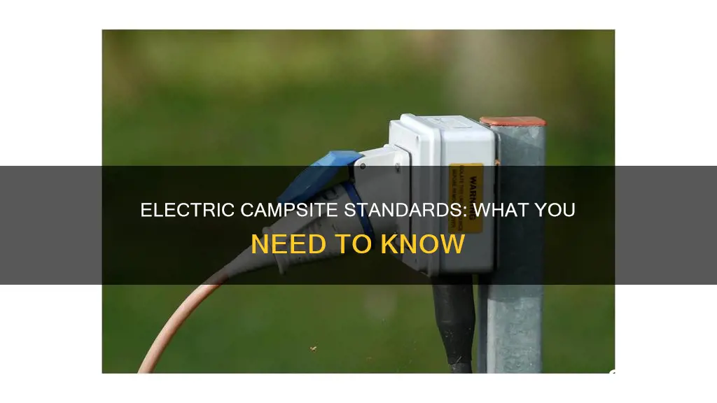 what is standard electric at a campsite
