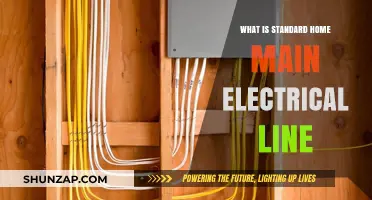Understanding Your Home's Electrical Main Line