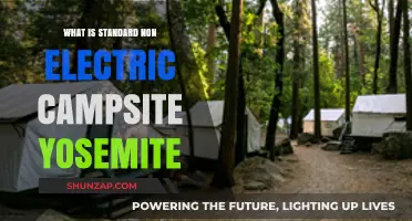 Camping Basics: Non-Electric Campsites in Yosemite