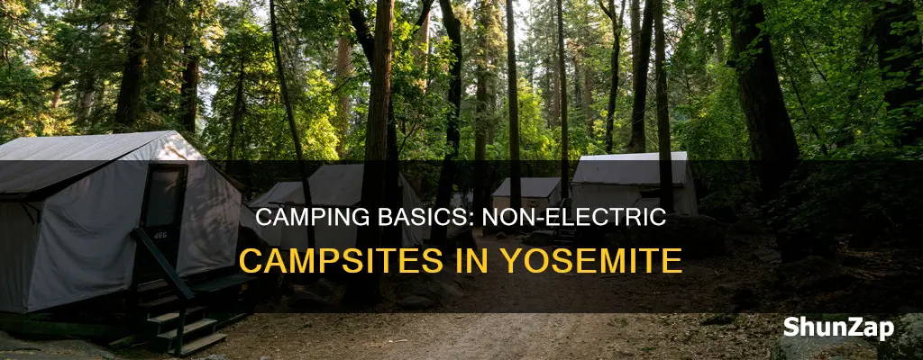 what is standard non electric campsite yosemite