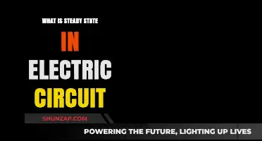 Understanding Electric Circuits: Steady State Explained