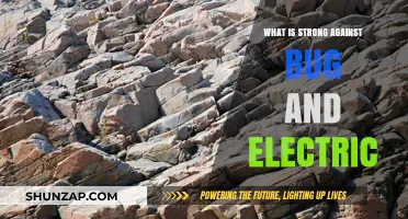 Fire and Ground Types: Electric and Bug Foes
