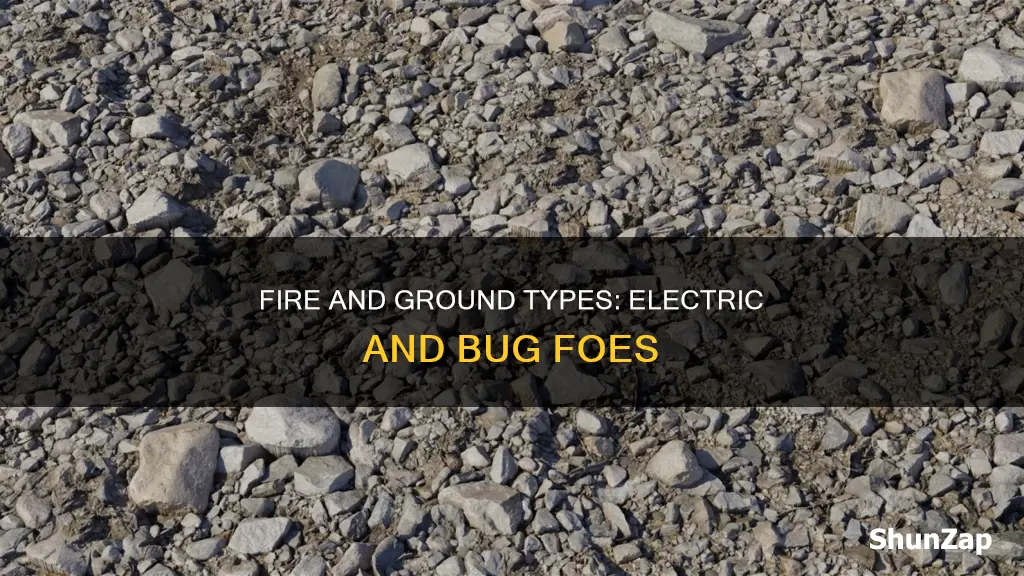 what is strong against bug and electric