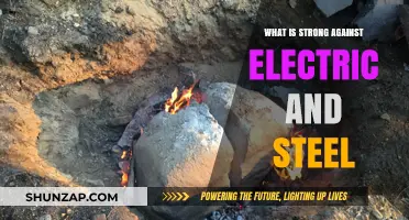 Fire and Ground Types: Electric and Steel's Nemesis