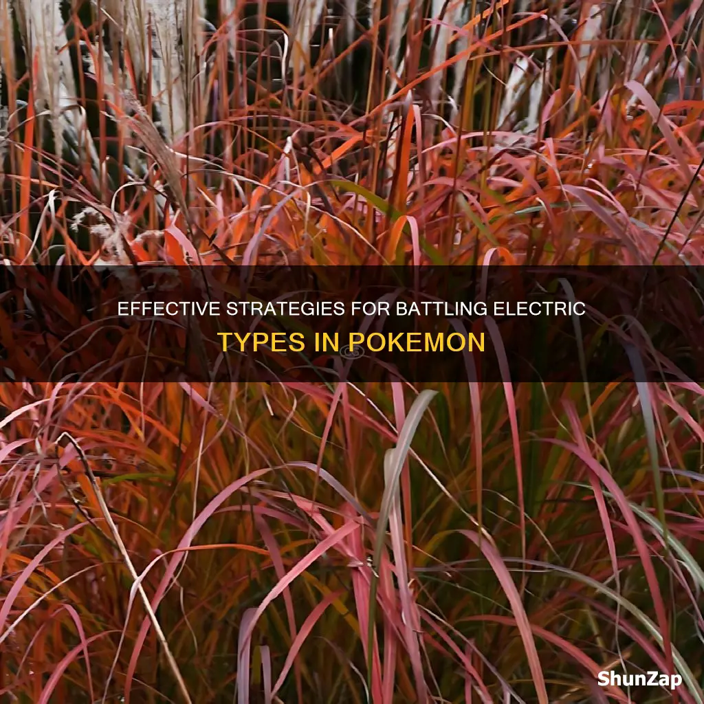what is super effective against electric tyoes