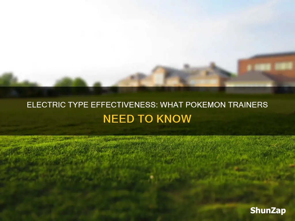 what is super effective on electric types
