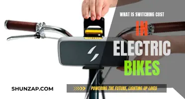 How Electric Bike's Switching Costs Affect Performance