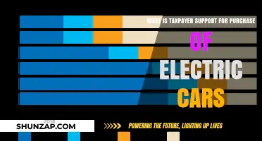 Understanding Taxpayer Support for Electric Car Purchases: Benefits and Impact