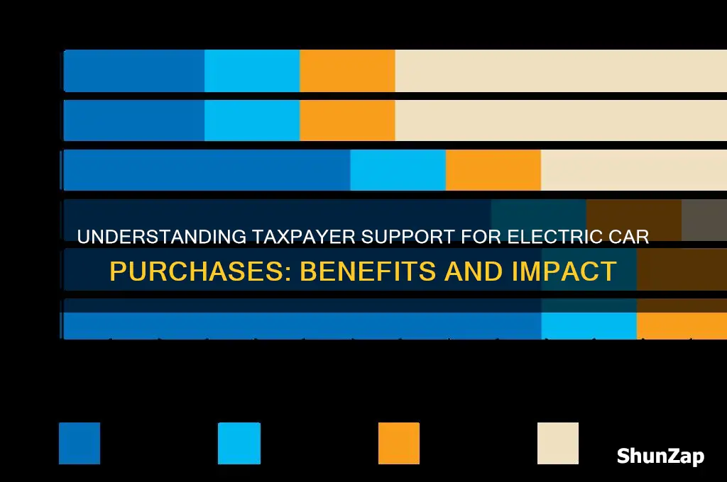 what is taxpayer support for purchase of electric cars