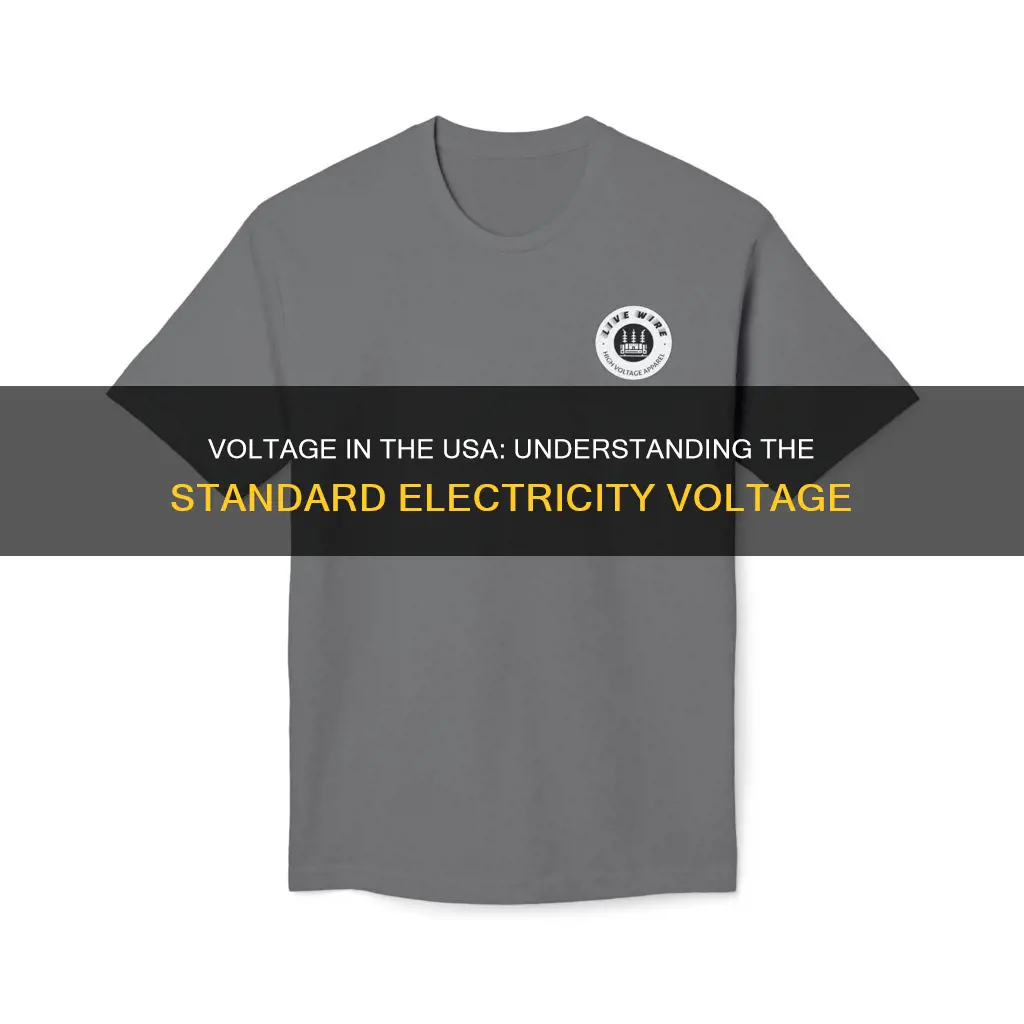 what is teh electricity voltage in usa