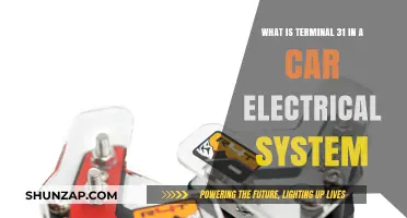 Understanding Terminal 31's Role in Car Electrical Systems