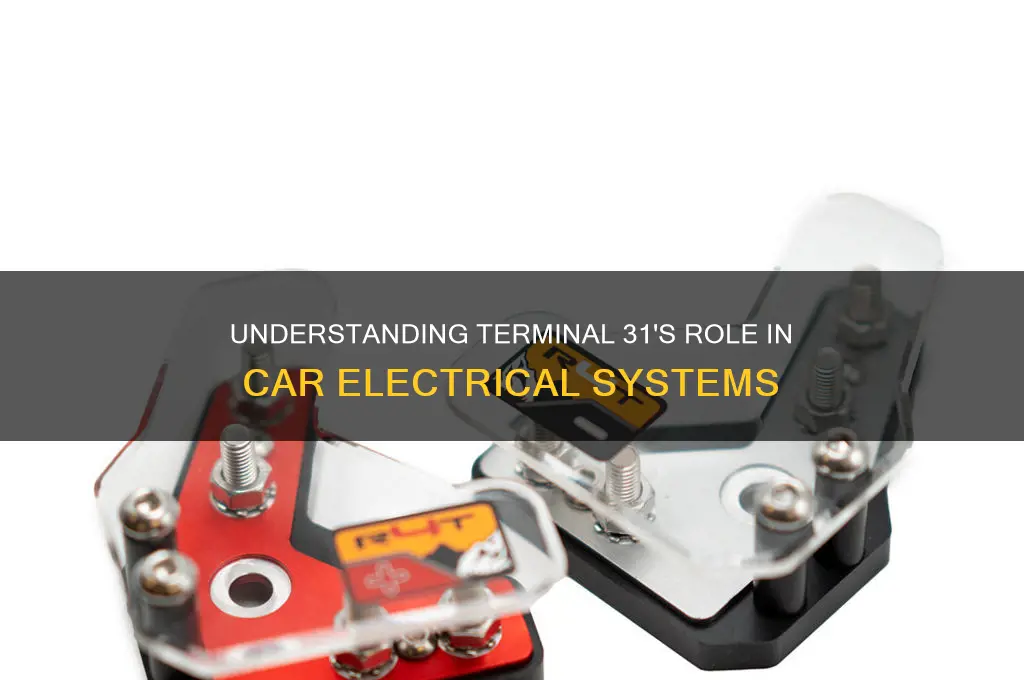 what is terminal 31 in a car electrical system