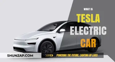 Exploring Tesla's Electric Car: Innovation, Features, and Sustainable Driving