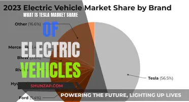 Tesla's Dominance: Unveiling the Electric Vehicle Market Share