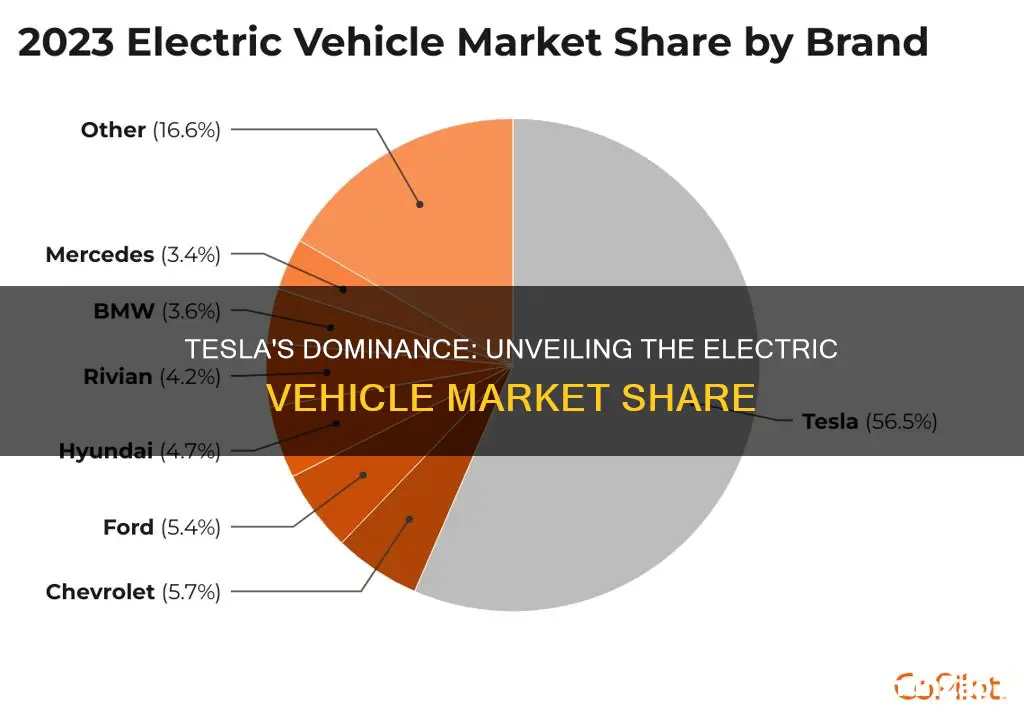 what is tesla market share of electric vehicles