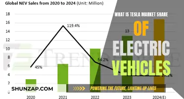 Tesla's Electric Vehicle Market Share: How Much Do They Control?