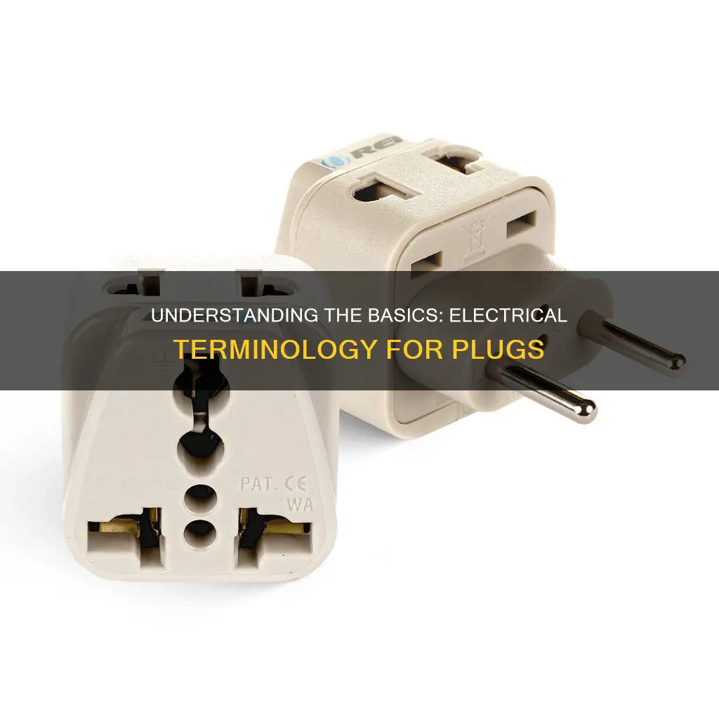 what is tge electrical term for plug