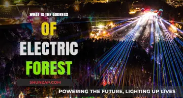 Address and Location of Electric Forest